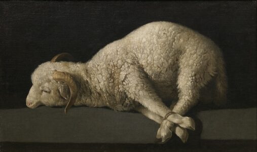 Agnus Dei by Francisco de Zurbarán, c. 1635–40 [The MET, New York]