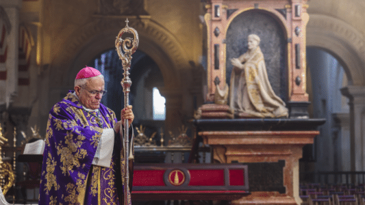 Mons. Demetrio Fernández