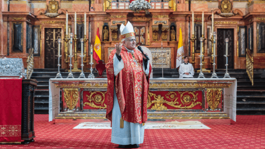 Mons. Demetrio Fernández