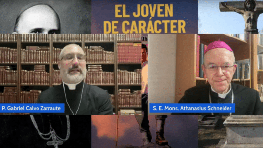 Calvo Zarraute y Schneider