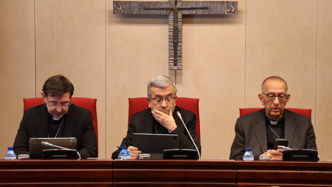 Obispos españoles, ¿por qué nos habéis abandonado?