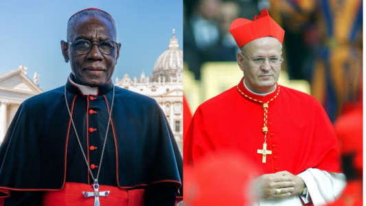 Cardenal Sarah y cardenal Erdo