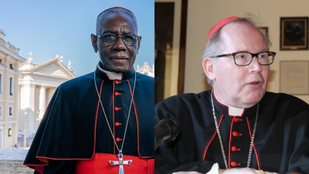 Cardenal Sarah y cardenal Eijk