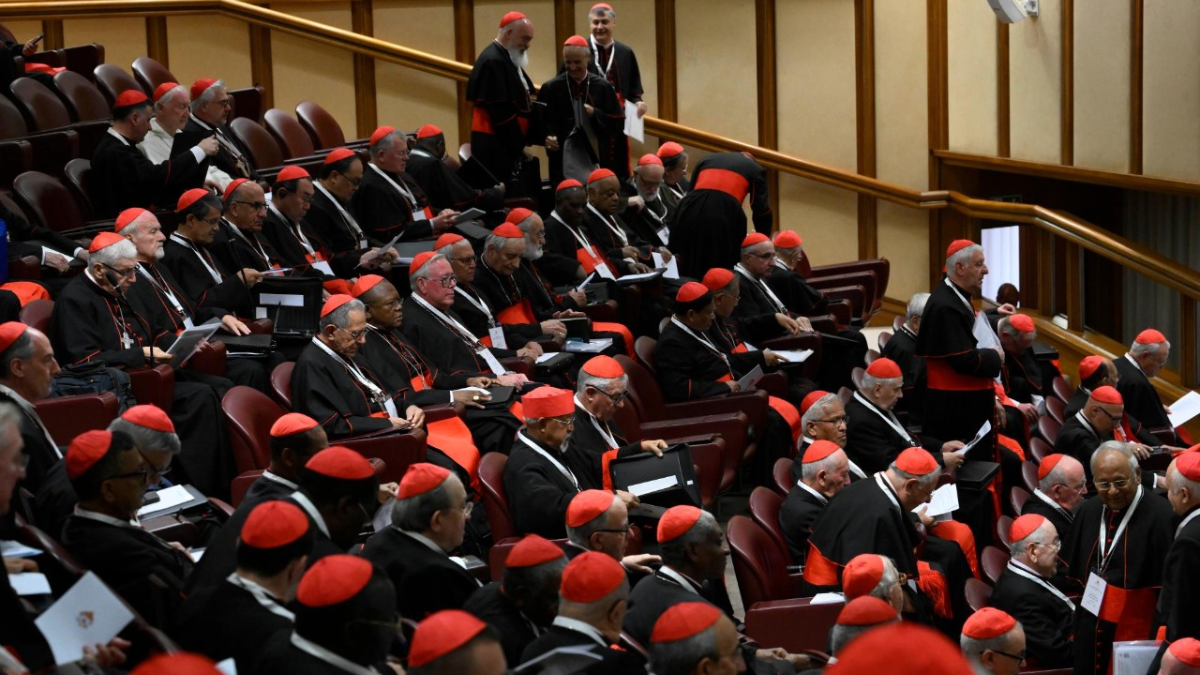Cardenales en las congregaciones generales