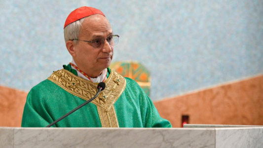 Cardenal Robert Prevost