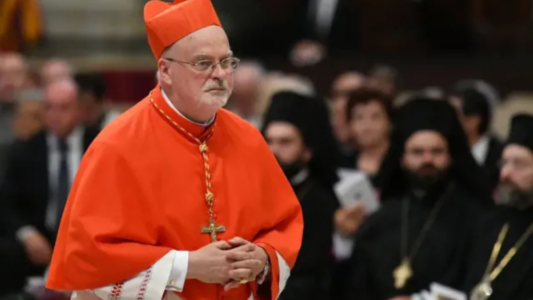 Cardenal Anders Arborelius