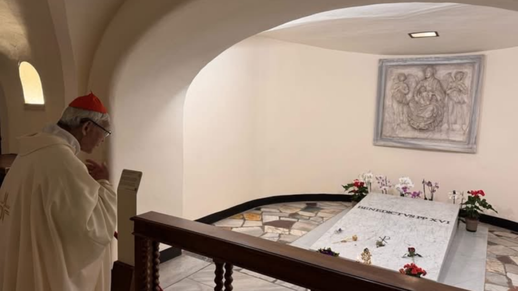 El cardenal Zen rezando ante la tumba de Benedicto XVI