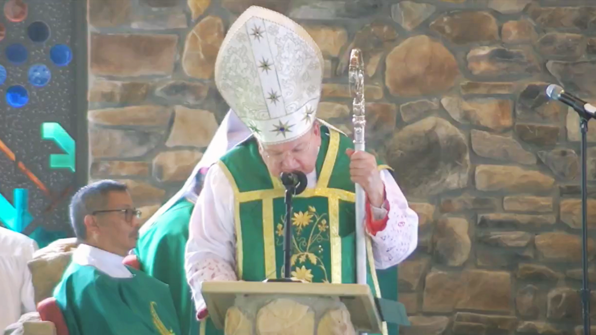 Le cardinal Burke prêche lors d'une messe sur le message de Fatima, mettant en garde contre l'apostasie de notre temps.