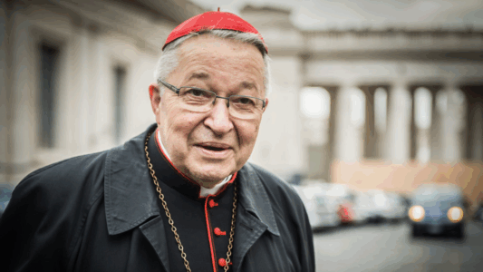 Retrato del cardenal André Vingt-Trois en exteriores poco antes de su retiro, sonriente y con solideo rojo.
