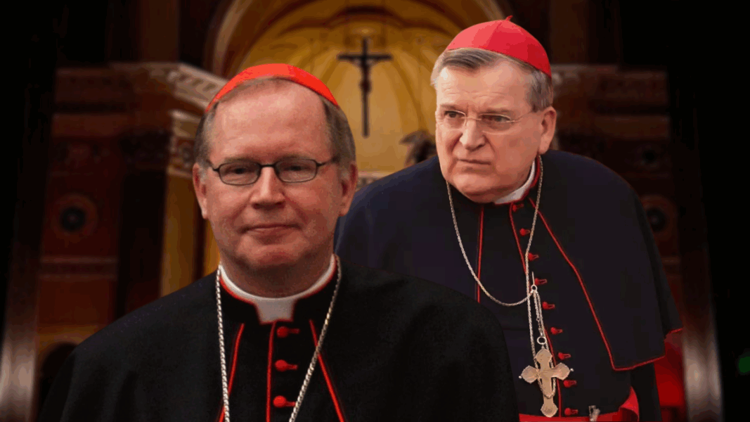 “Tu único problema es que eres católico”: El cardenal Eijk elogia la firmeza de Burke ante las críticas