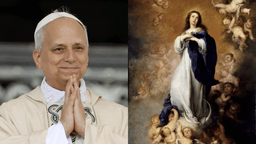 María, “escudo de paz” frente a la violencia: el llamado del Papa en la Asunción