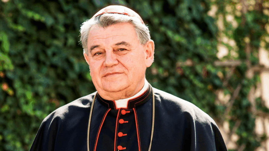 El Papa nombra como su Enviado Especial al cardenal de los dubia sobre Amoris Laetitia