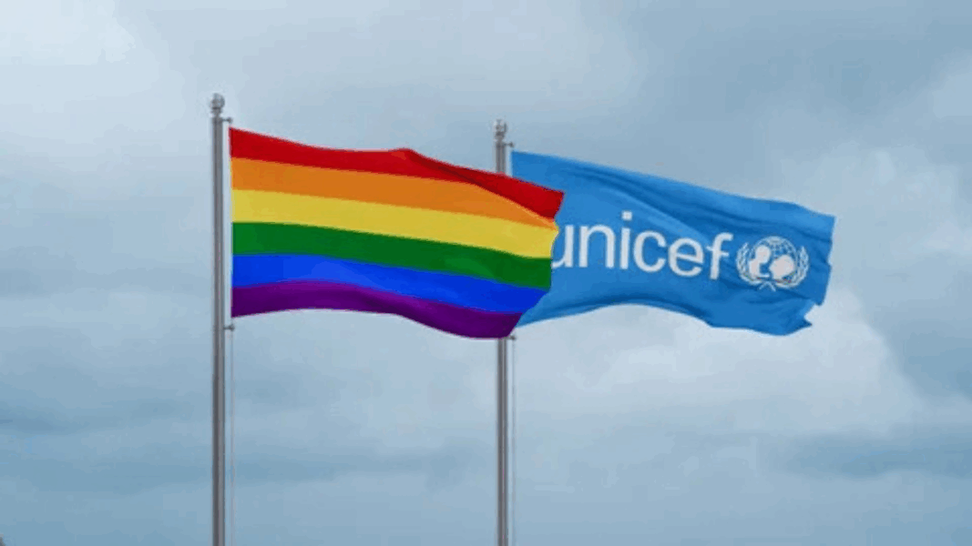 Un informe denuncia programas ideológicos infantiles de UNICEF