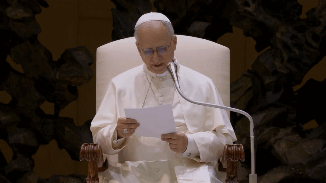 Catequesis del Papa: los “últimos días” de Jesús y el amor que no se rinde