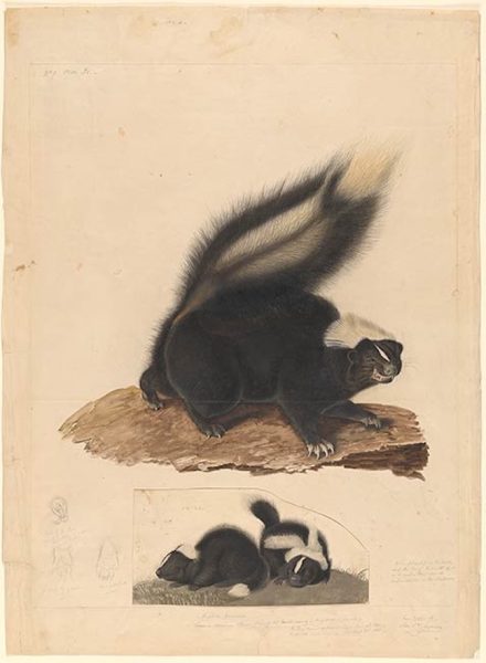 Del hedor del pecado al aroma de Cristo