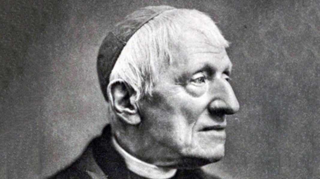 San John Henry Newman, Doctor Sapientiae