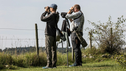 Sodalicio, Yunque y Opus