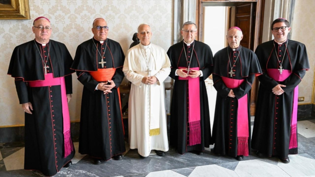 Obispos chilenos en audiencia con León XIV: «El Papa nos ha pedido defender la vida sin bajar la guardia»