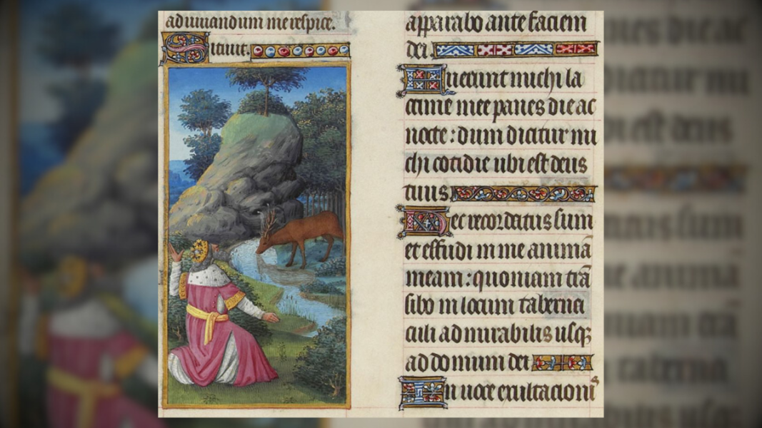 El Papa concluye su homilía con el salmo 42: un eco de la Misa tradicional