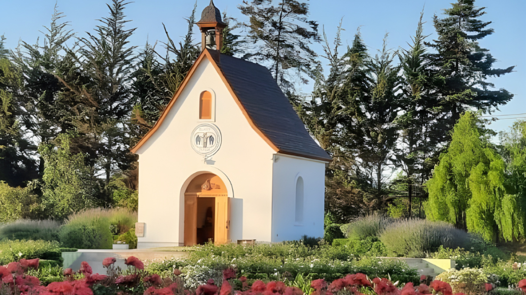 León XIV concede indulgencia plenaria en los santuarios de Schoenstatt