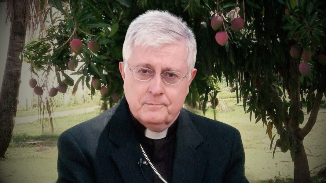 Brasil: la Santa Sede promueve una conversión ecológica en el marco de la COP30