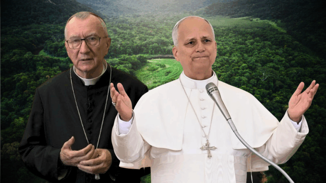 León XIV a la COP30: «Si quieres cultivar la paz, cuida de la creación»