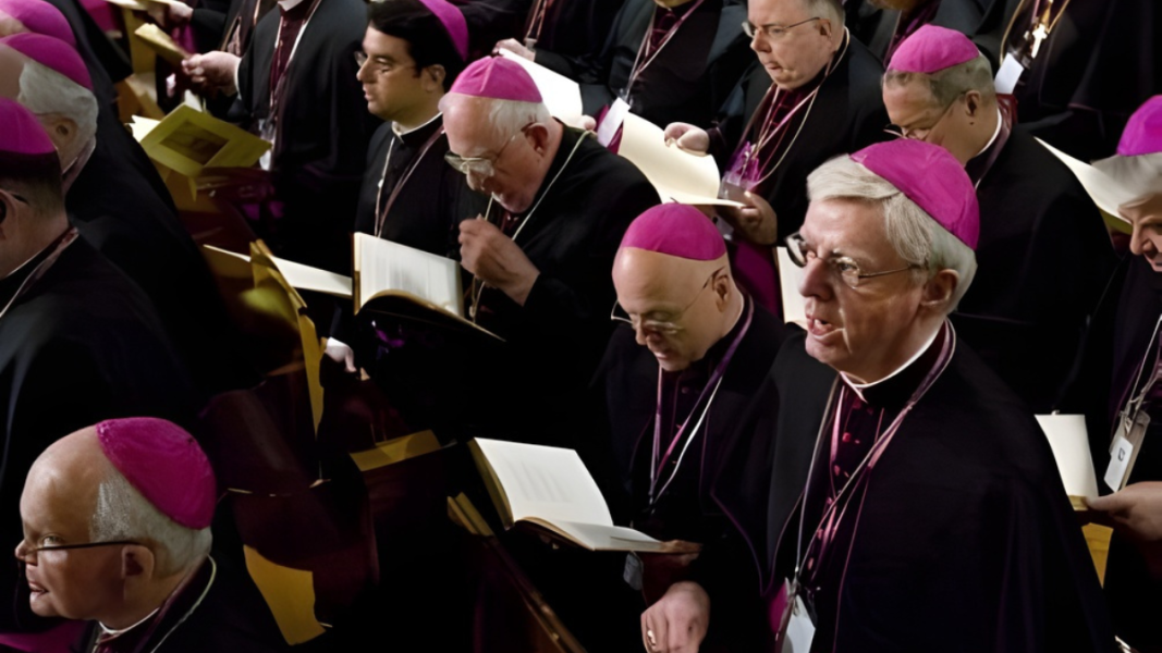 Los obispos de EE. UU. mantienen financiación a organización proaborto pese a las advertencias del Lepanto Institute