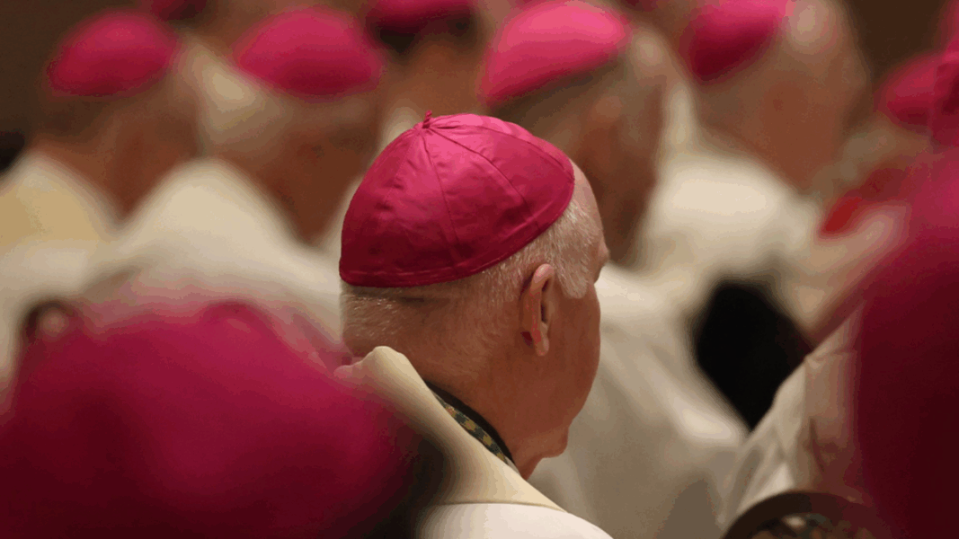 Los obispos de EE.UU. financiaron a organizaciones vinculadas al marxismo, según un informe del Lepanto Institute