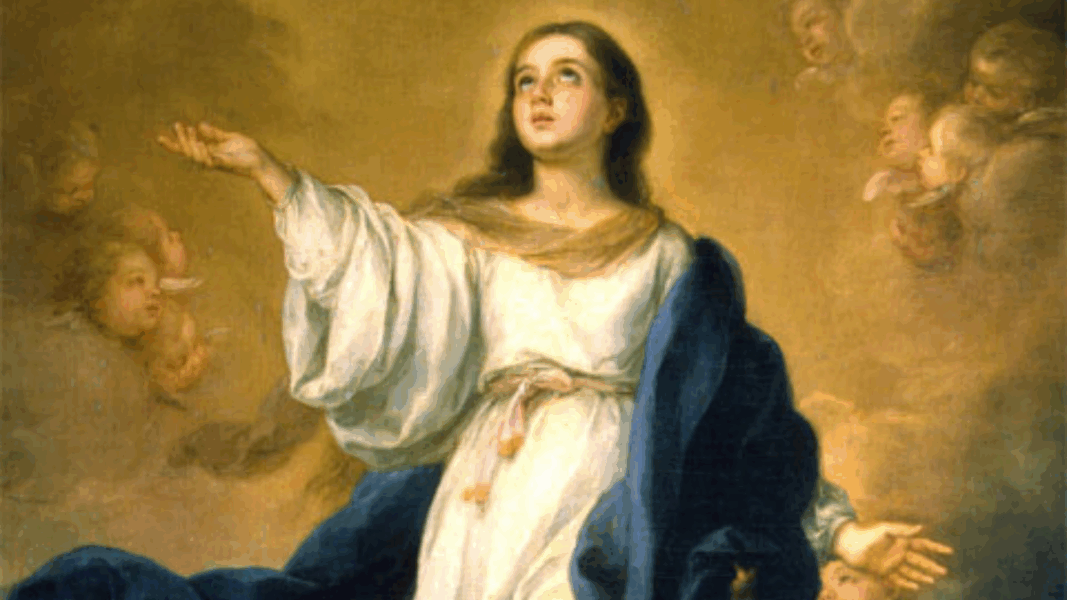 TRIBUNE : Lettre à Léon XIV sur les titres mariologiques