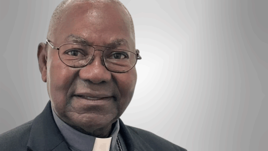 Borrador automático