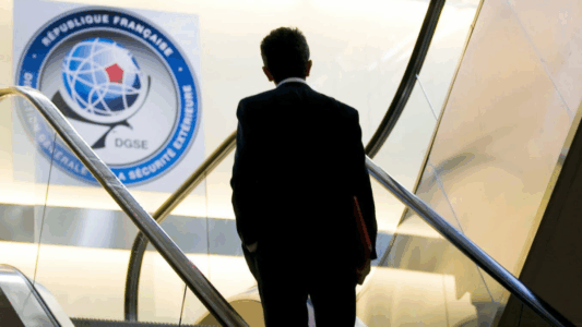 Borrador automático