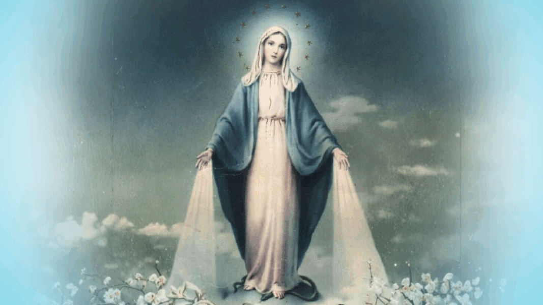 Rascunho automático