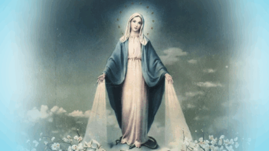 Rascunho automático