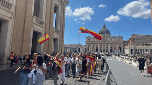 Borrador automático