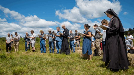 Borrador automático