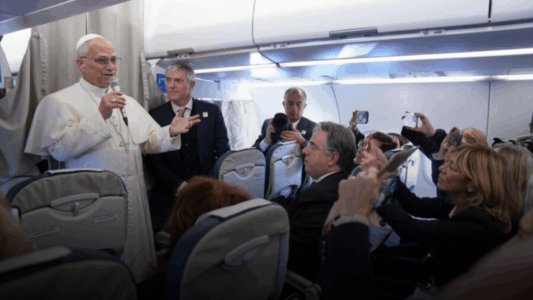 Borrador automático