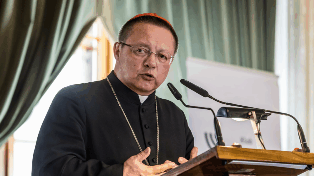 Grzegorz Ryś: trayectoria y formación del nuevo arzobispo de Cracovia