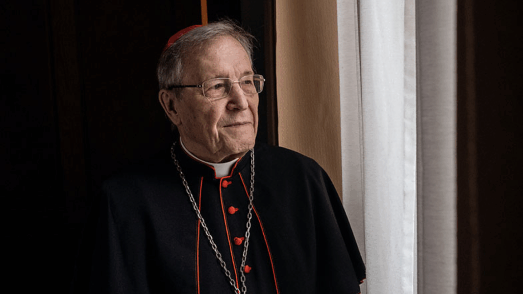 O cardeal Ryś revela sua identidade eclesial: “Não quero outra Igreja que a que nos ensinou Francisco”