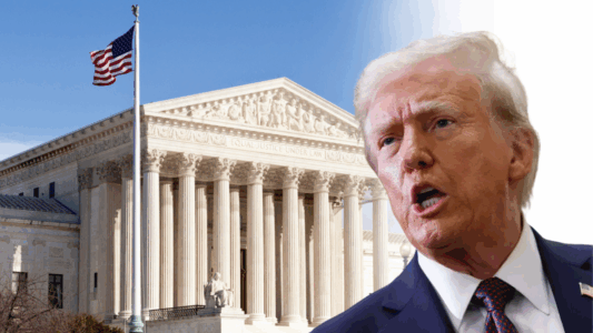 El cardenal Ryś revela su identidad eclesial: “No quiero otra Iglesia que la que nos enseñó Francisco”