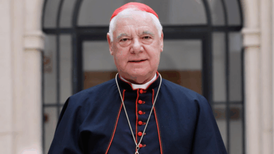Cardenal Müller: «No es la tradición, sino el progresismo, lo que divide a la Iglesia»