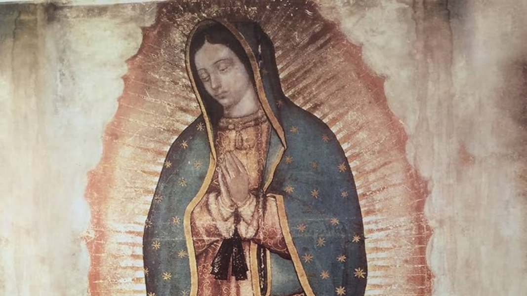Nuestra Señora de Guadalupe: Patrona de América