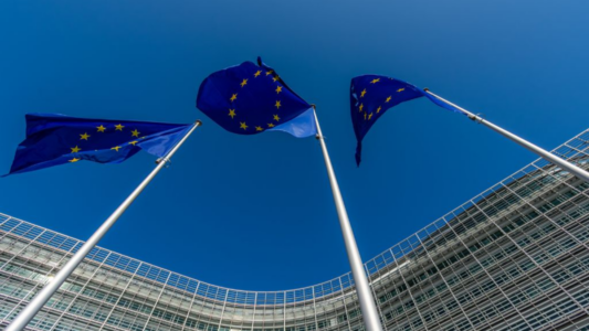 La UE retira fondos a asociaciones familiares católicas mientras respalda iniciativas para financiar abortos en otros países