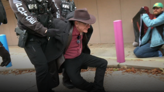 Estados Unidos: Diecisiete provida detenidos ante Planned Parenthood