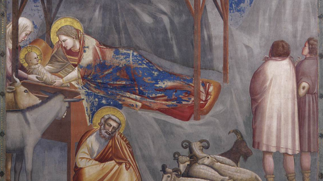 De la luz y la oscuridad