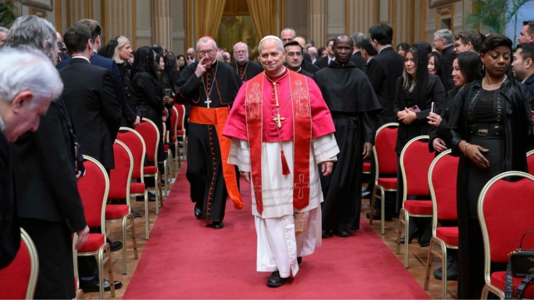 León XIV advierte que sin protección de la vida no hay paz ni orden internacional