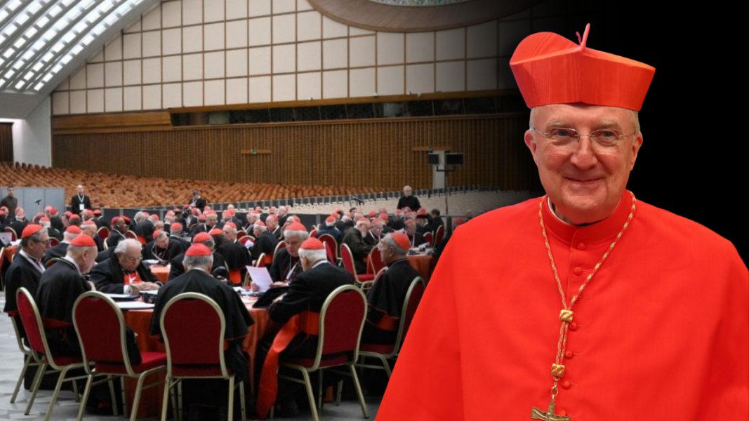 Roche difundió un texto contra la Misa tradicional en el consistorio