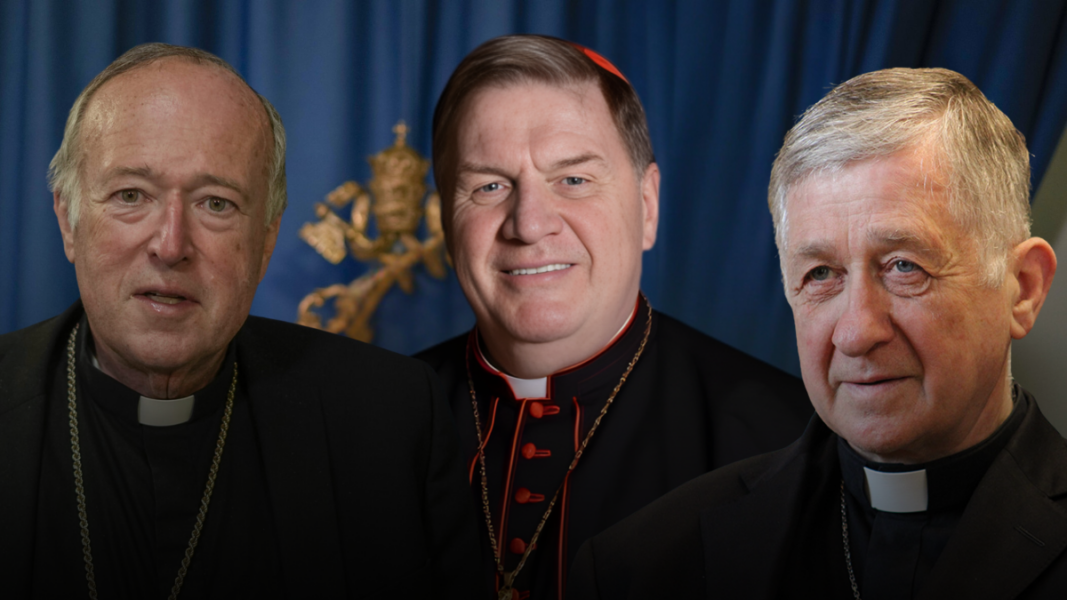 Cupich, McElory y Tobin: ¿oportunistas del discurso o pastores preocupados?