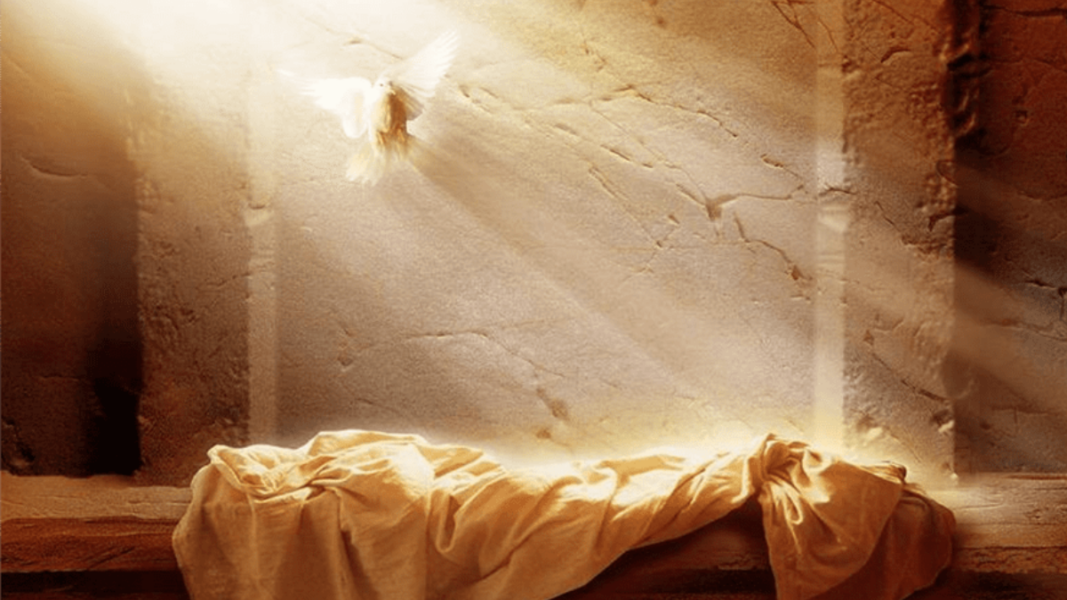 La no individualidad de las partículas elementales y la resurrección de los cuerpos