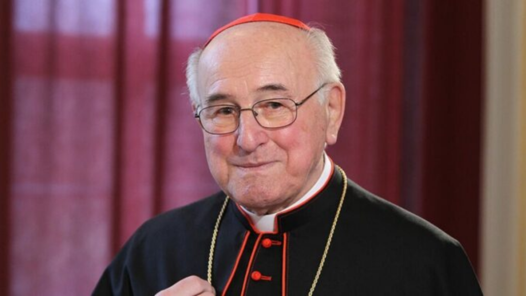 Brandmüller clama por la paz litúrgica: “Por amor de Dios, bajen las armas”