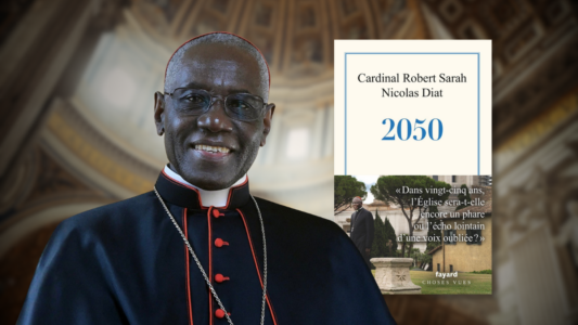 Sarah: «El futuro de la Iglesia no depende de estrategias, sino de nuestra santidad»